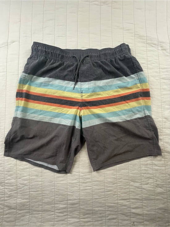 Hang Ten Other - Hang Ten Gray Swim Trunks with Stripes large
